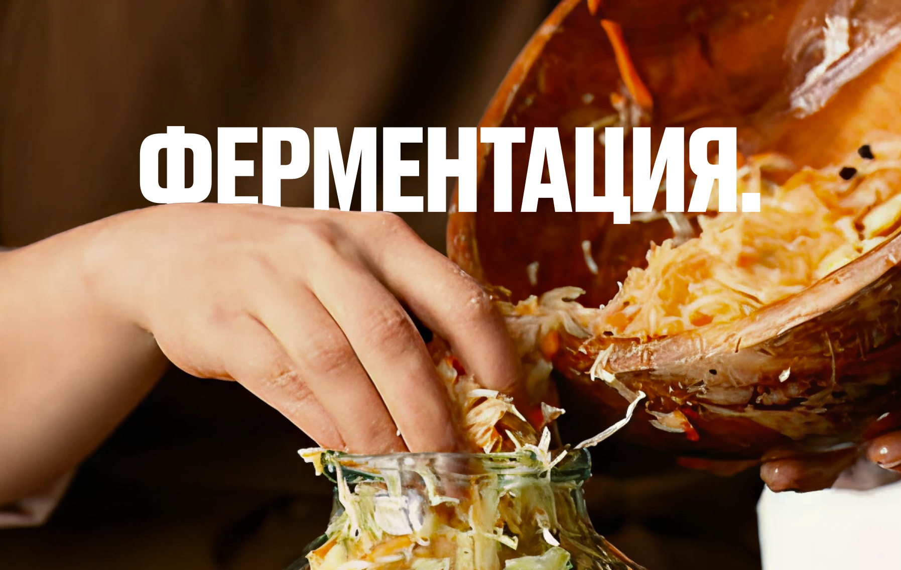 Гайд по ферментации